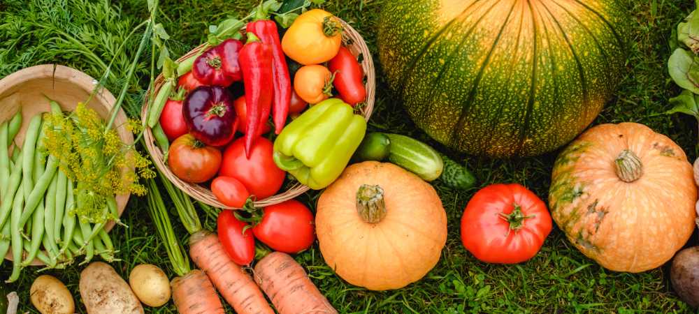 verduras