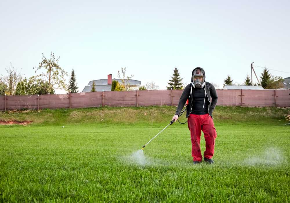 fumigado campo